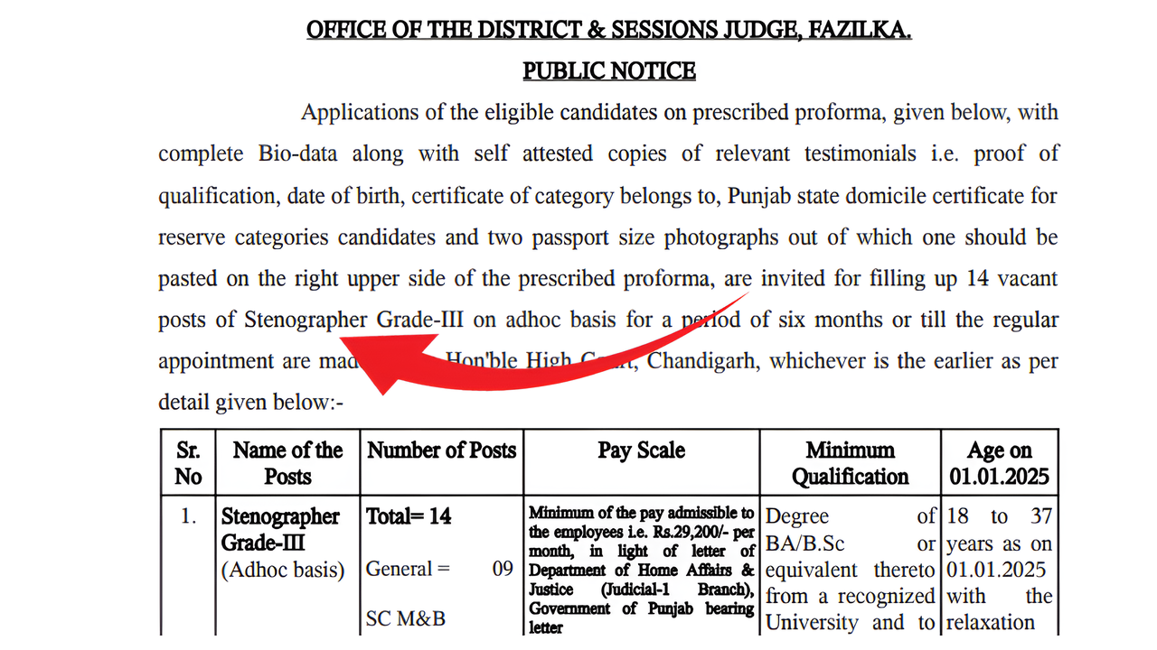 Chandigarh High Court 14 Notification 2025